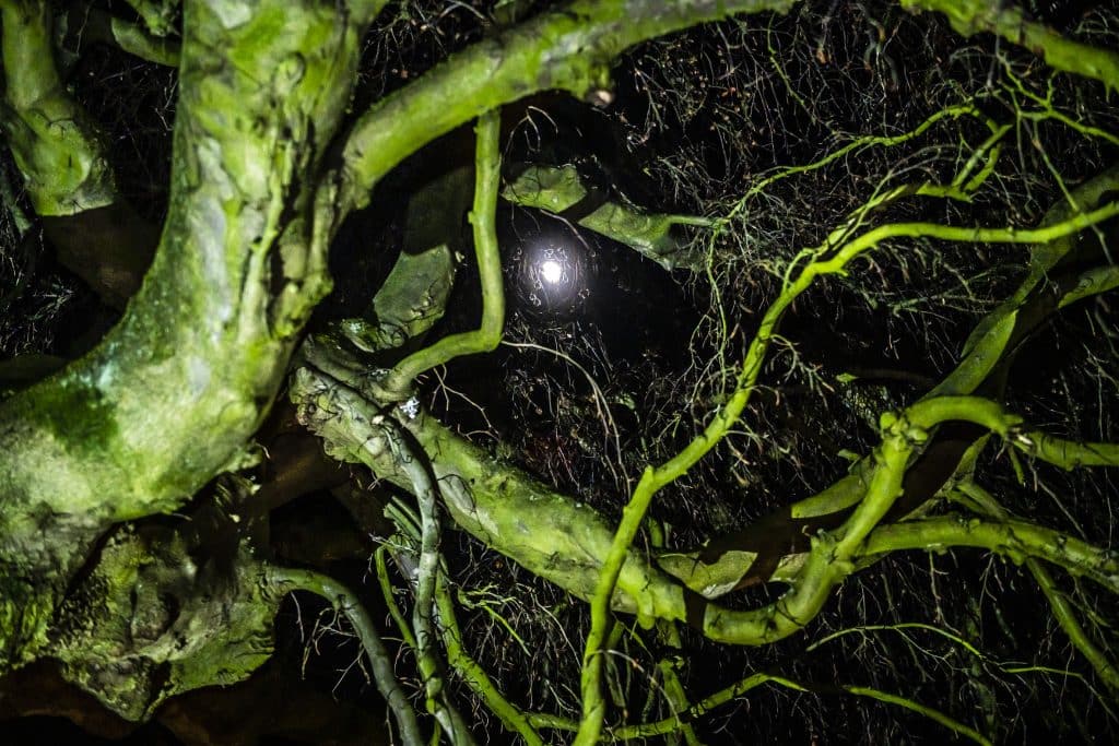 In liefde gedenken: verlichte wandeltocht over de begraafplaats in Huizen