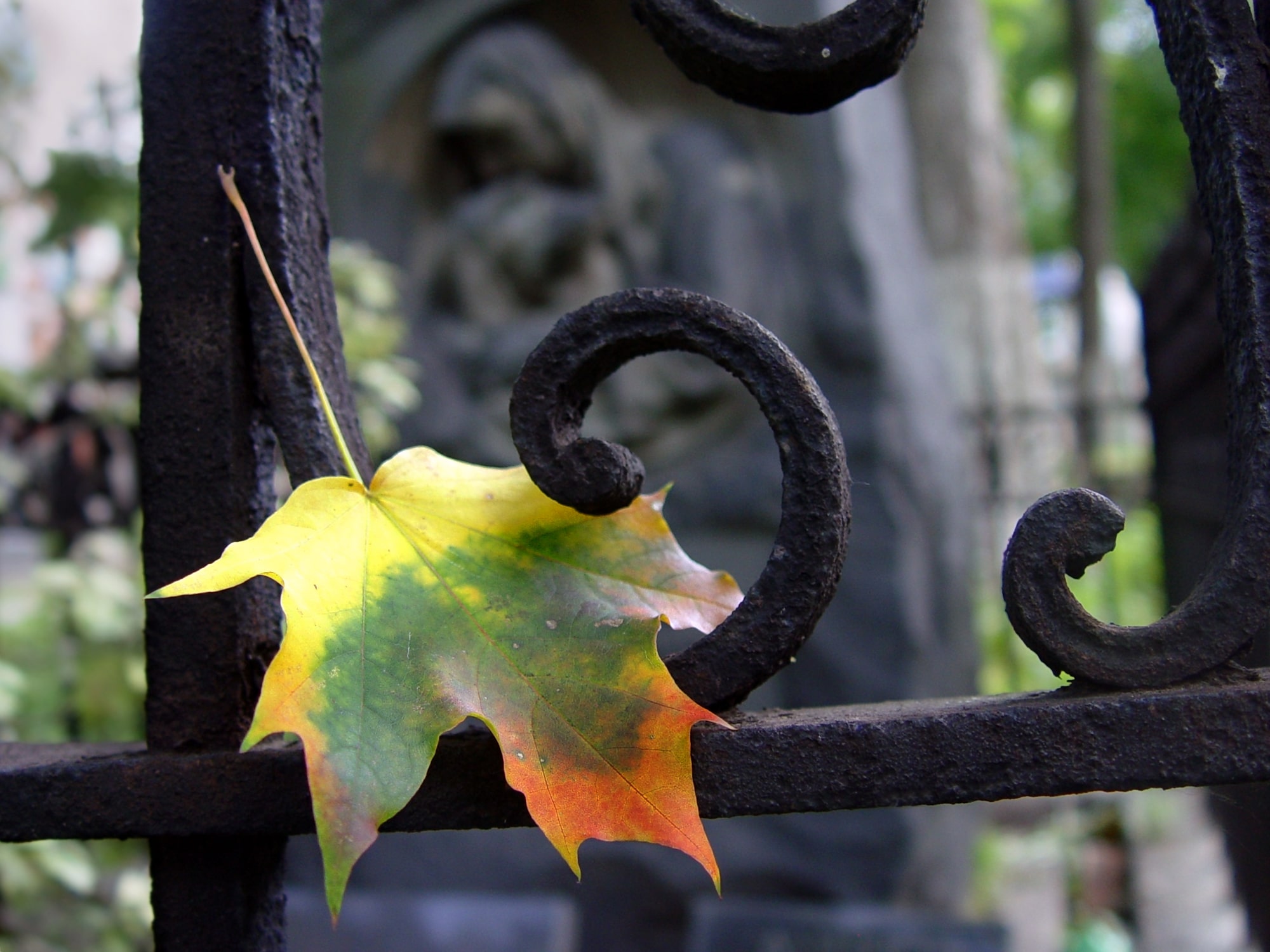 Herfst