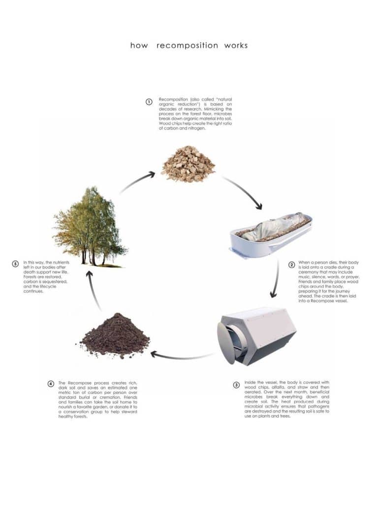 Infographic met uitleg over de werking van veraarden (humaan composteren)