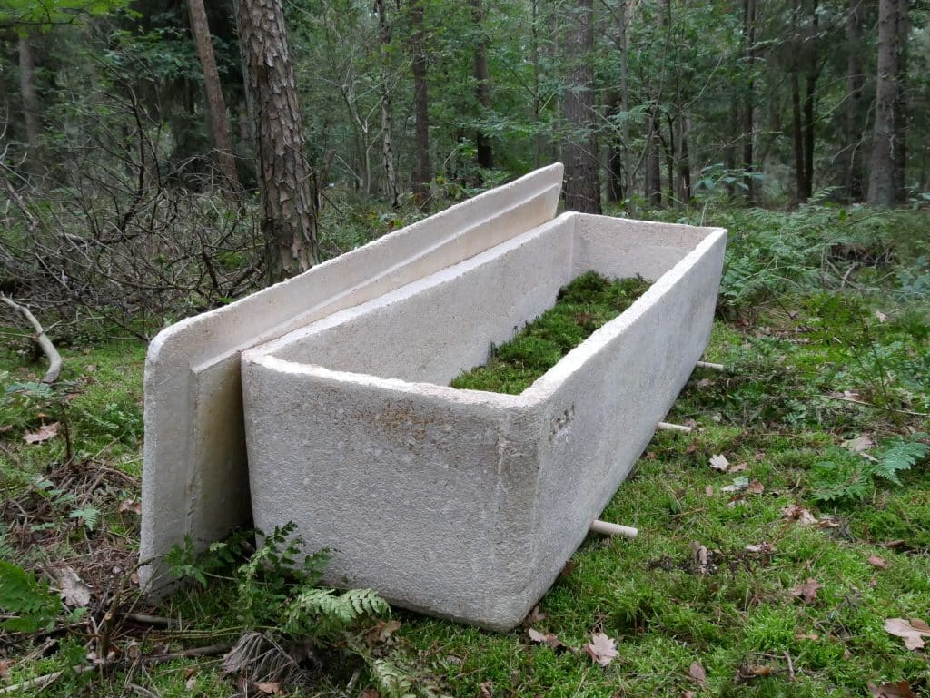 Kist van mycelium