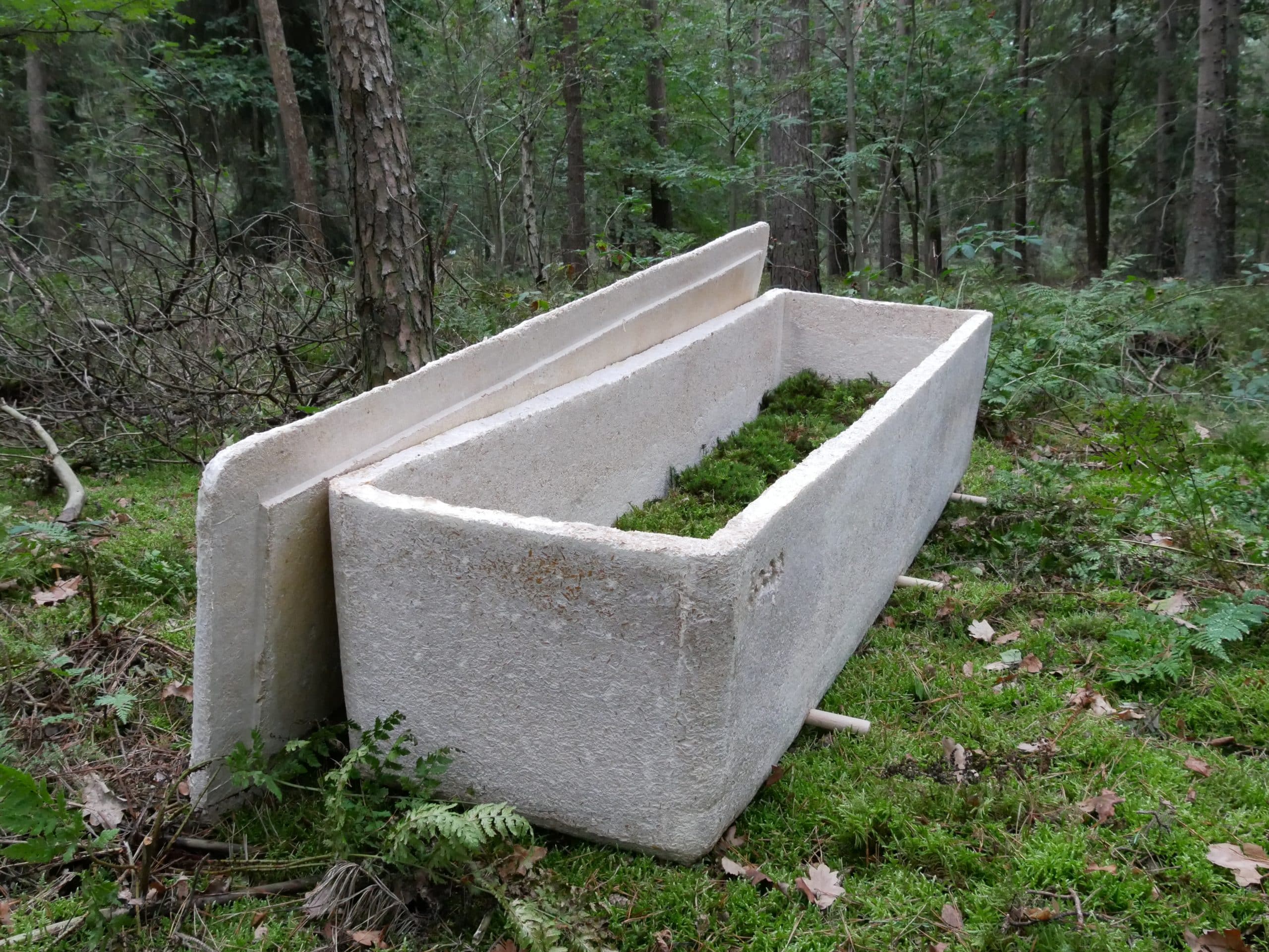 Kist van mycelium